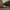 I Amsterdam beeld 3D - Premium Quality