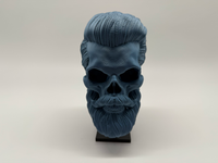 Menselijke Schedel Met Baard - Premium Quality