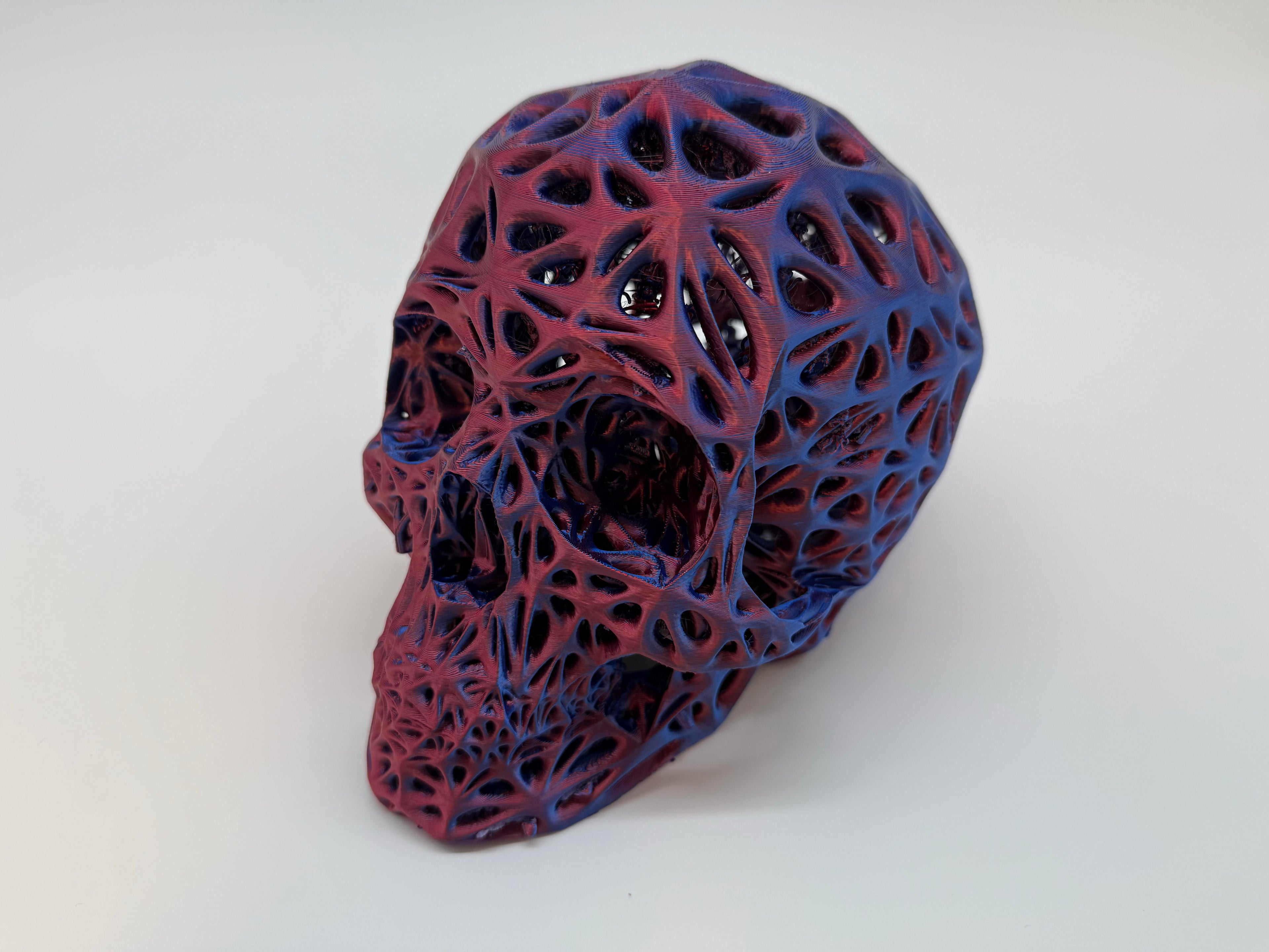 Menselijke Schedel Op Ware Grootte - Premium Quality