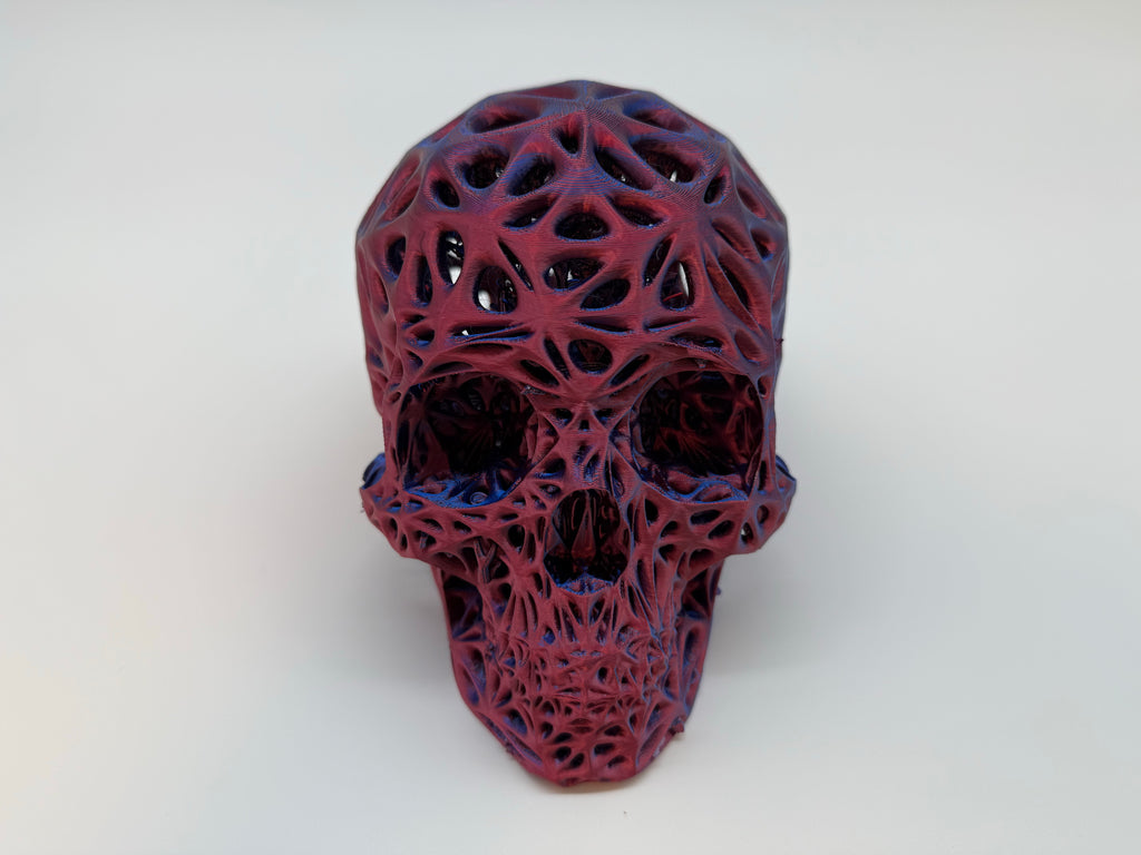 Menselijke Schedel Op Ware Grootte - Premium Quality