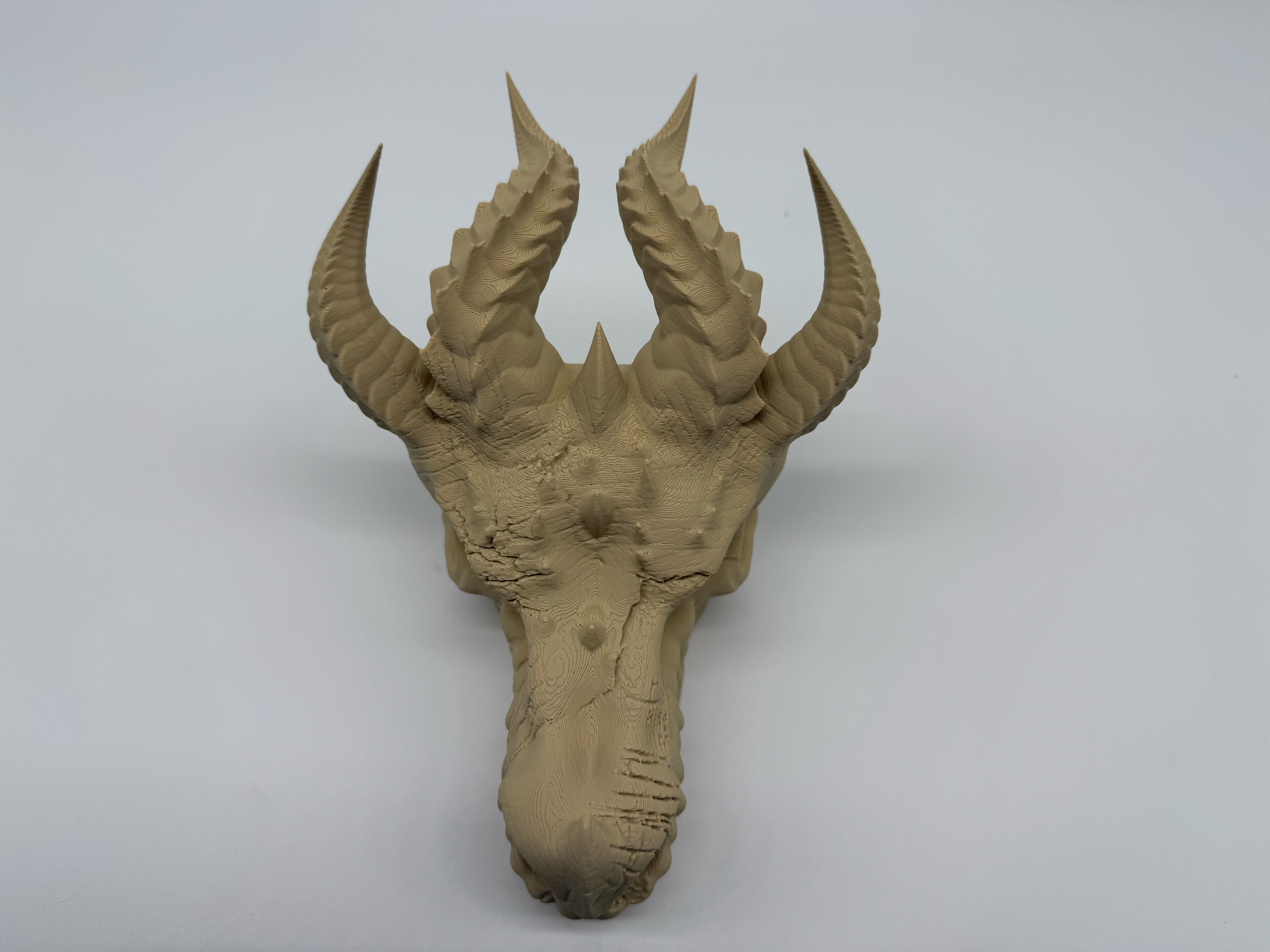 Draken Schedel -Premium Quality