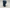 Menselijke Schedel Met Baard - Premium Quality