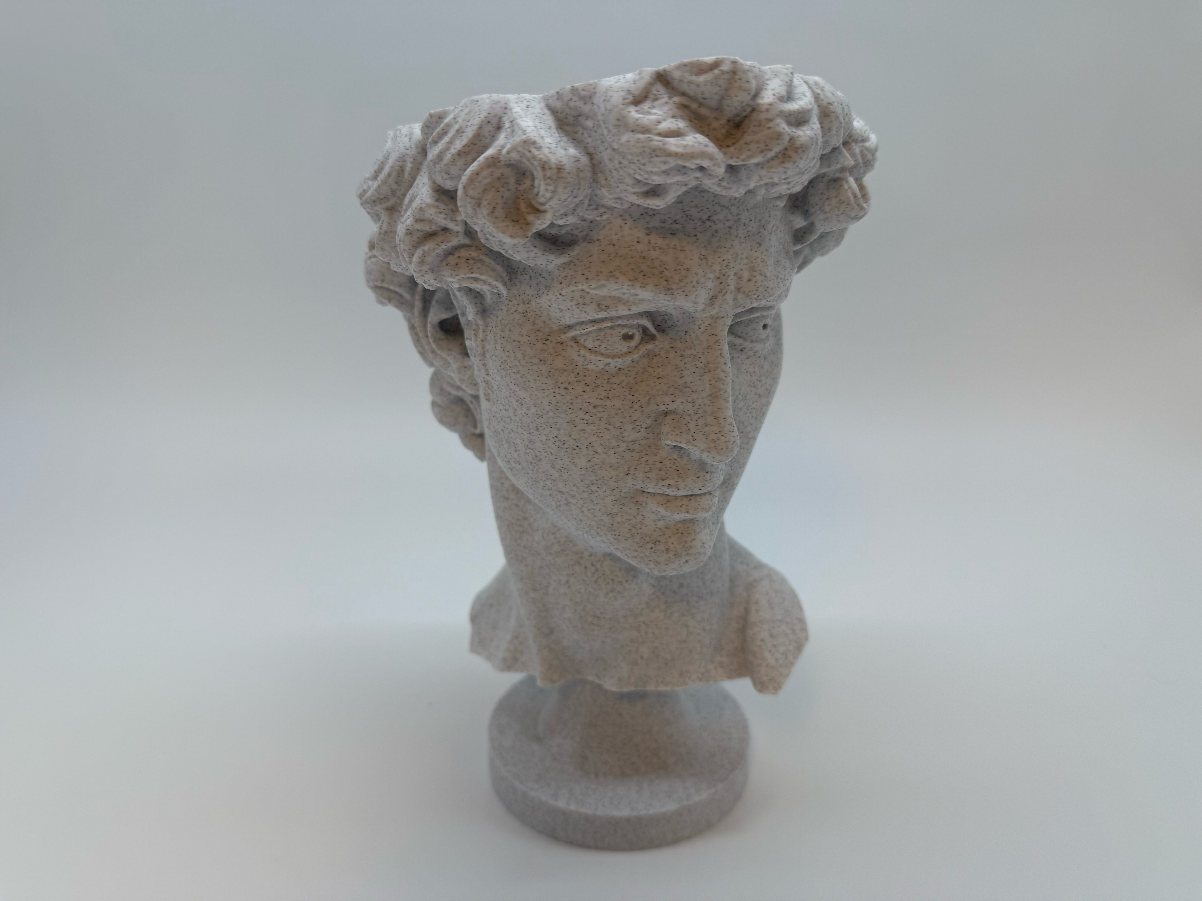 Klassieke Buste van David - Premium Quality