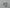 Schedelmasker – Realistisch en Gedetailleerd CoD MWII - Premium Quality