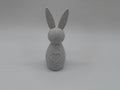 Bunny with Heart - Minimalist and Loving Design - Premium Quality